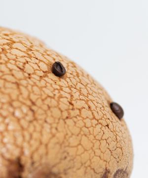 panettone-al-cappuccino